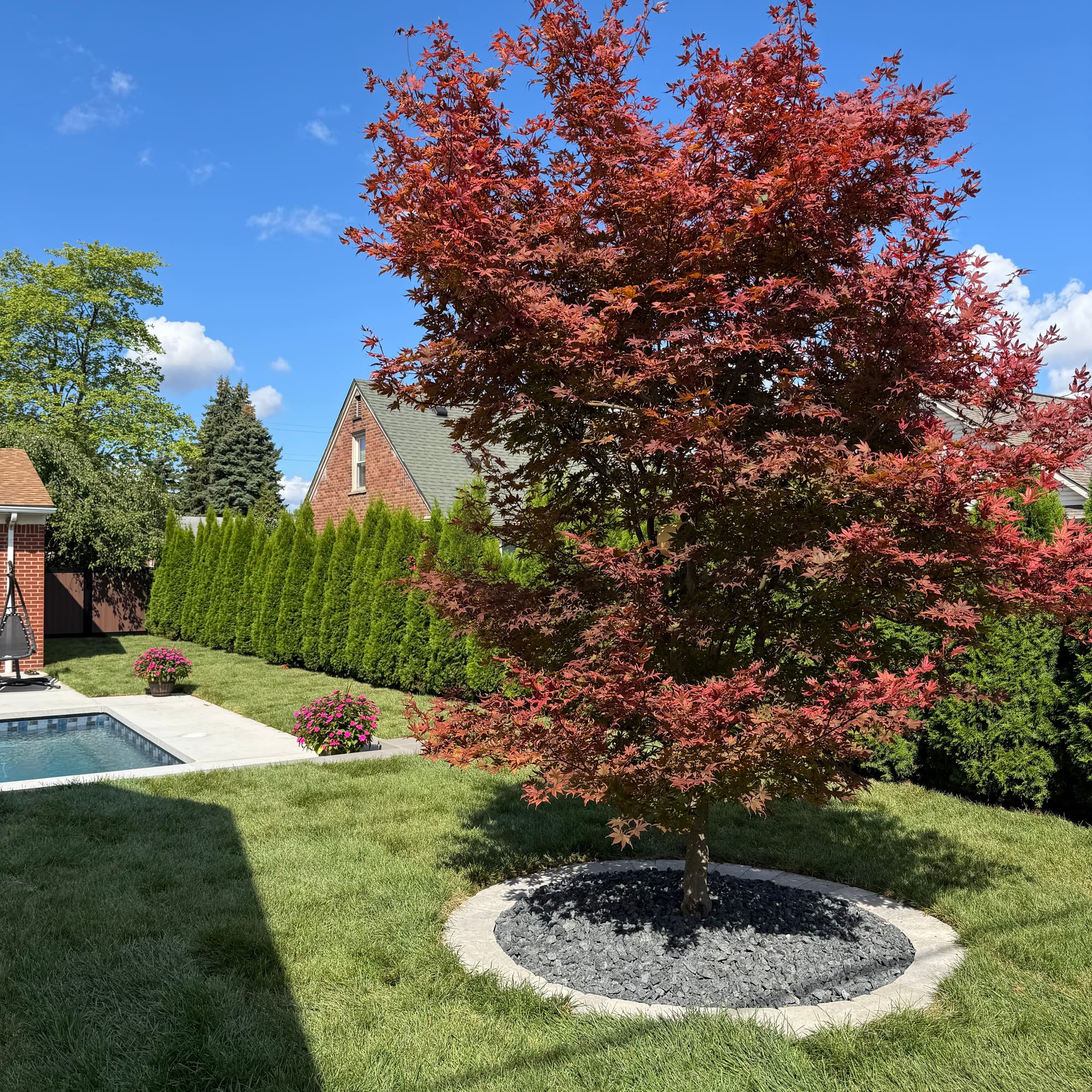 Second view of the Wyandotte retaining wall and planted terrace